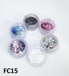 Kit com 6 Cores - Glitter Flocado Hexagonal Grande Para Encapsular Unhas - 3g - FC15